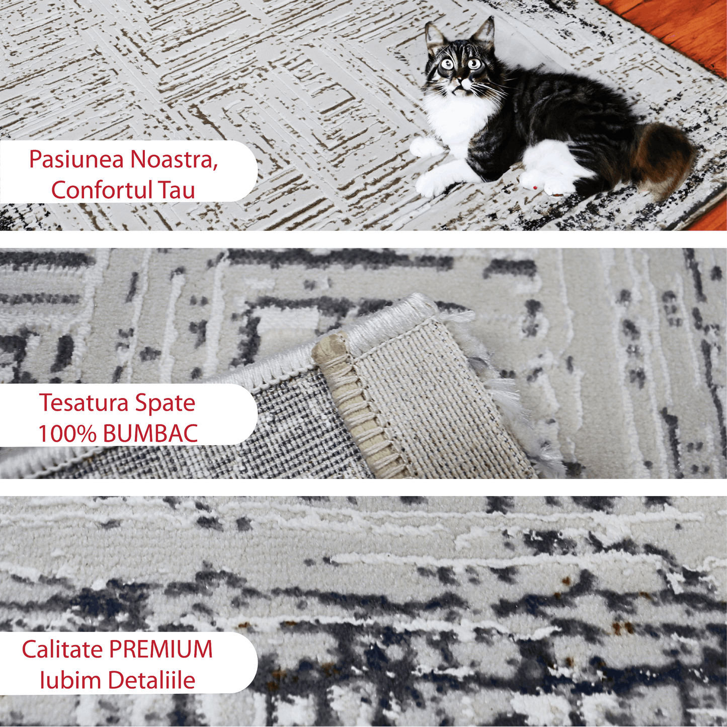 covor, premium, ieftin, reducere, living, copii, contemporan, modern, bucatarie, casa, familie, design