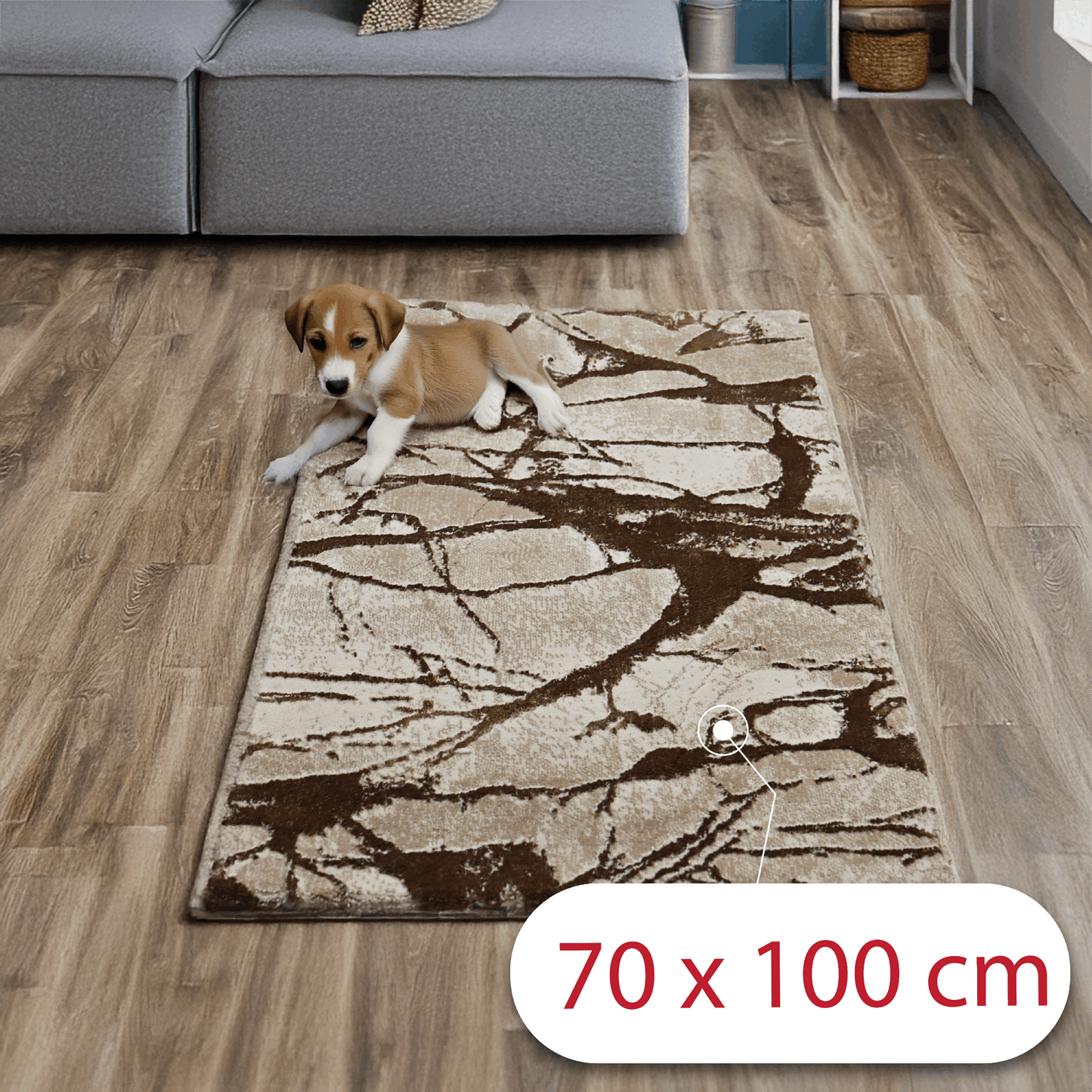 covor, premium, ieftin, reducere, living, copii, contemporan, modern, bucatarie, casa, familie, design