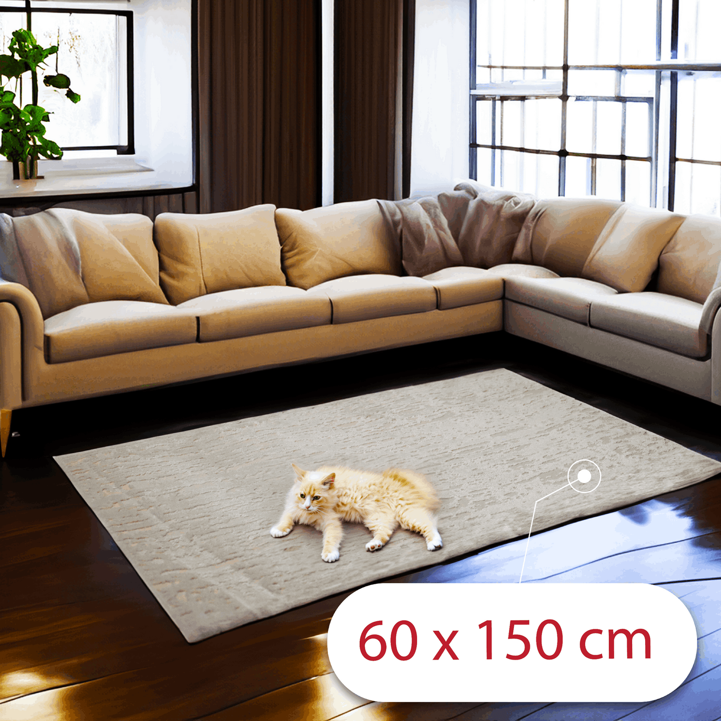 covor, premium, ieftin, reducere, living, copii, contemporan, modern, bucatarie, casa, familie, design