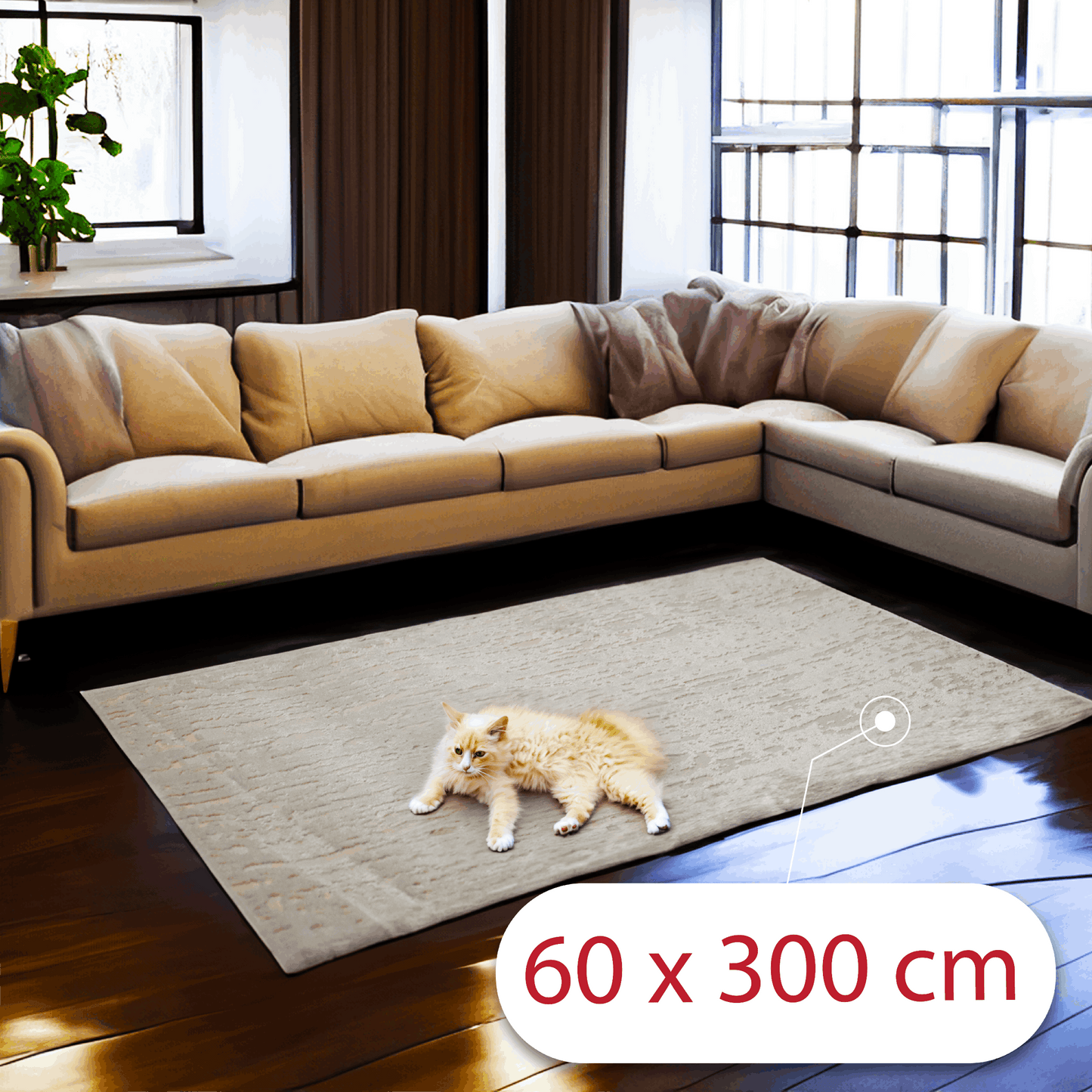 covor, premium, ieftin, reducere, living, copii, contemporan, modern, bucatarie, casa, familie, design