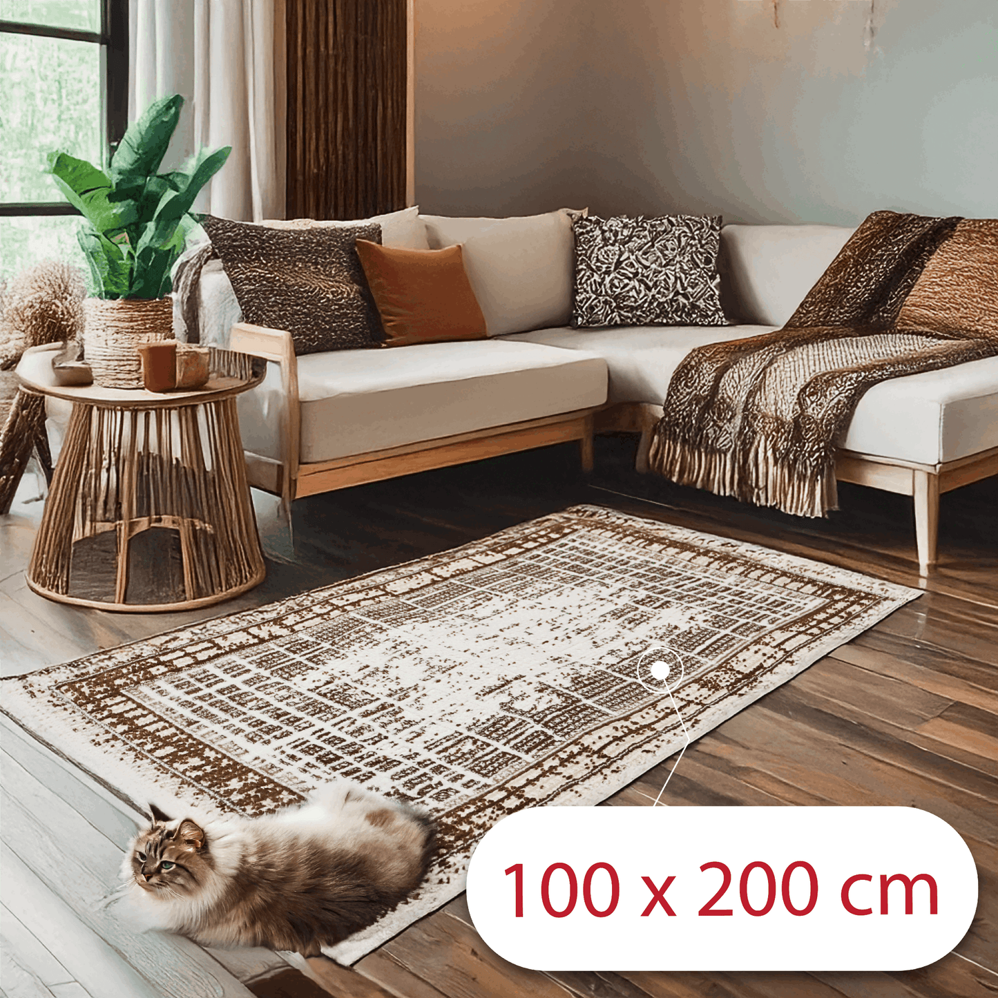 covor, premium, ieftin, reducere, living, copii, contemporan, modern, bucatarie, casa, familie, design