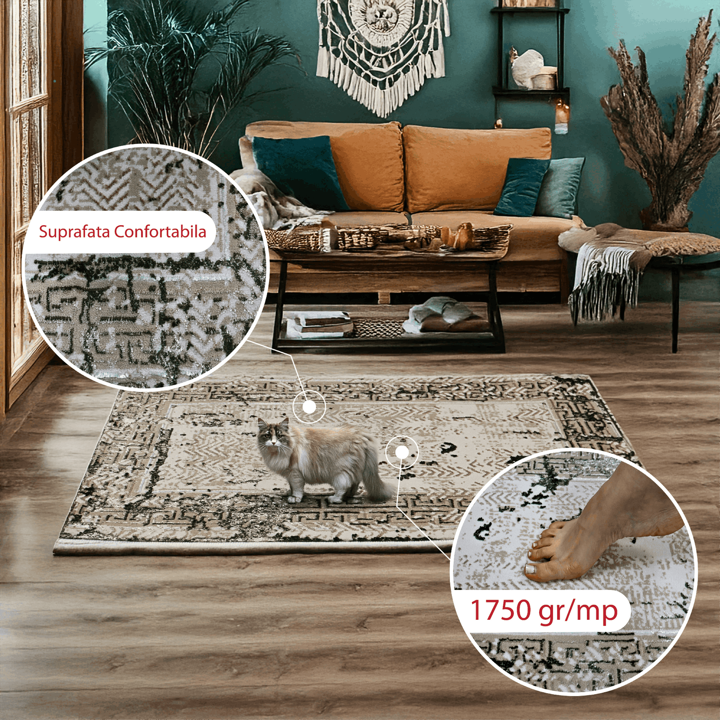 covor, premium, ieftin, reducere, living, copii, contemporan, modern, bucatarie, casa, familie, design