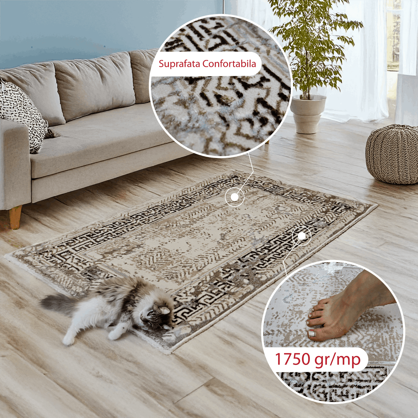 covor, premium, ieftin, reducere, living, copii, contemporan, modern, bucatarie, casa, familie, design