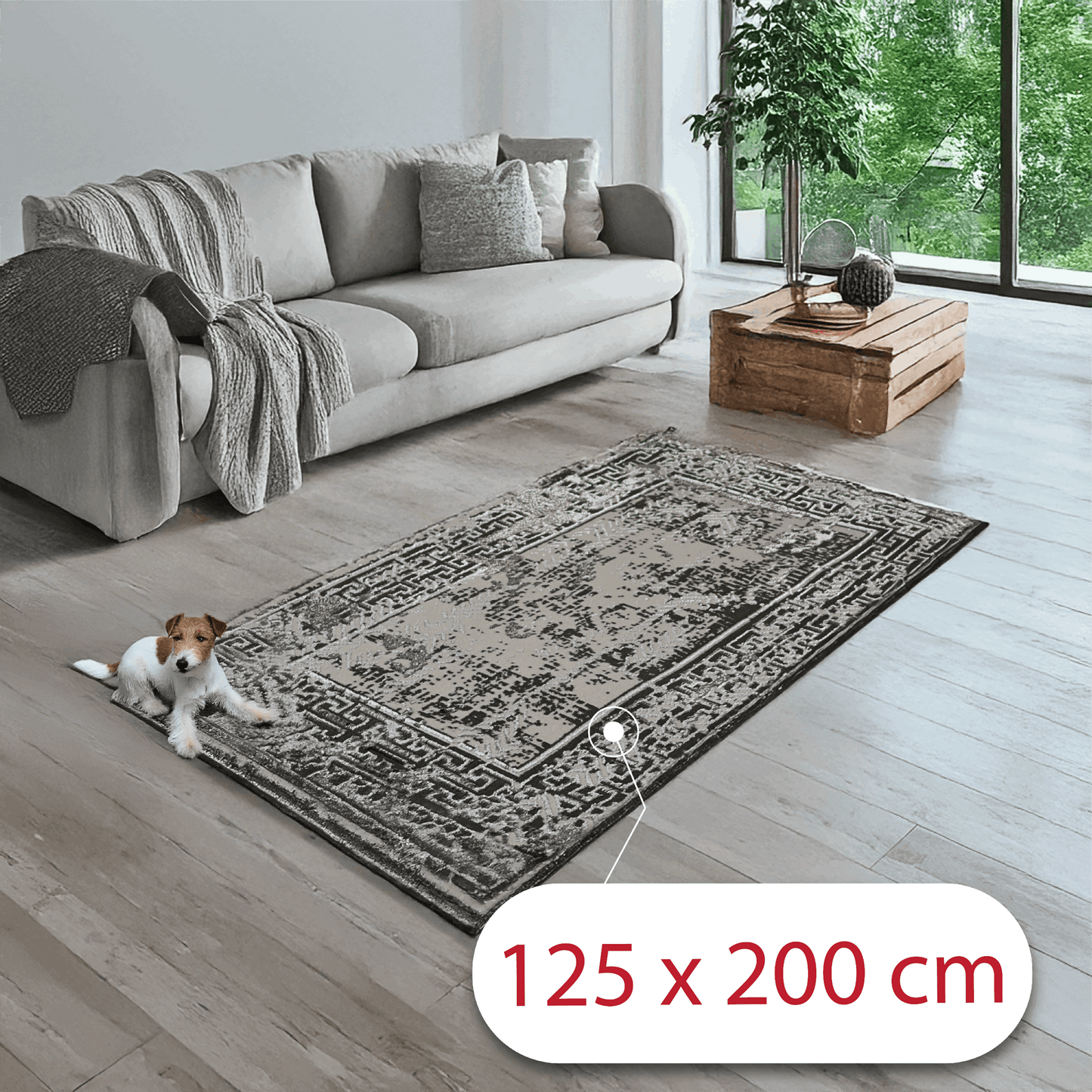 covor, premium, ieftin, reducere, living, copii, contemporan, modern, bucatarie, casa, familie, design