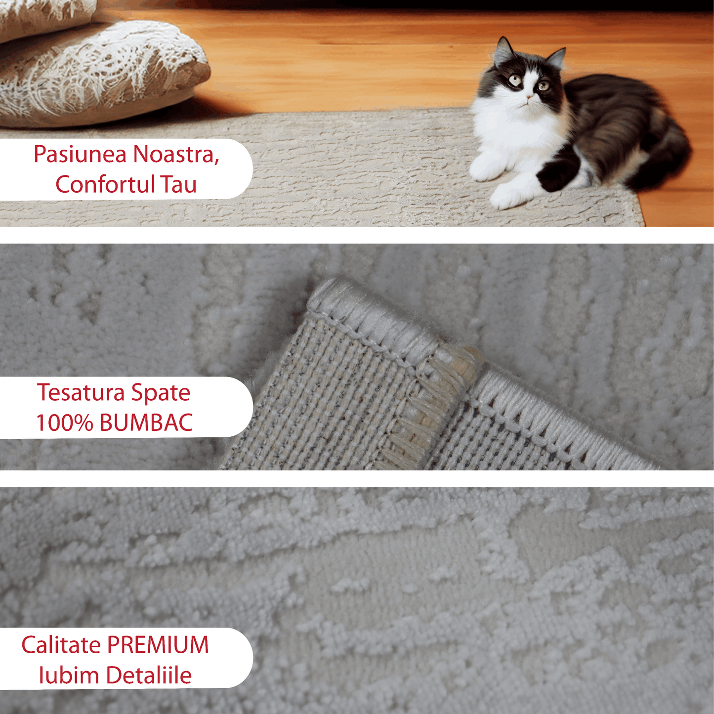 covor, premium, ieftin, reducere, living, copii, contemporan, modern, bucatarie, casa, familie, design