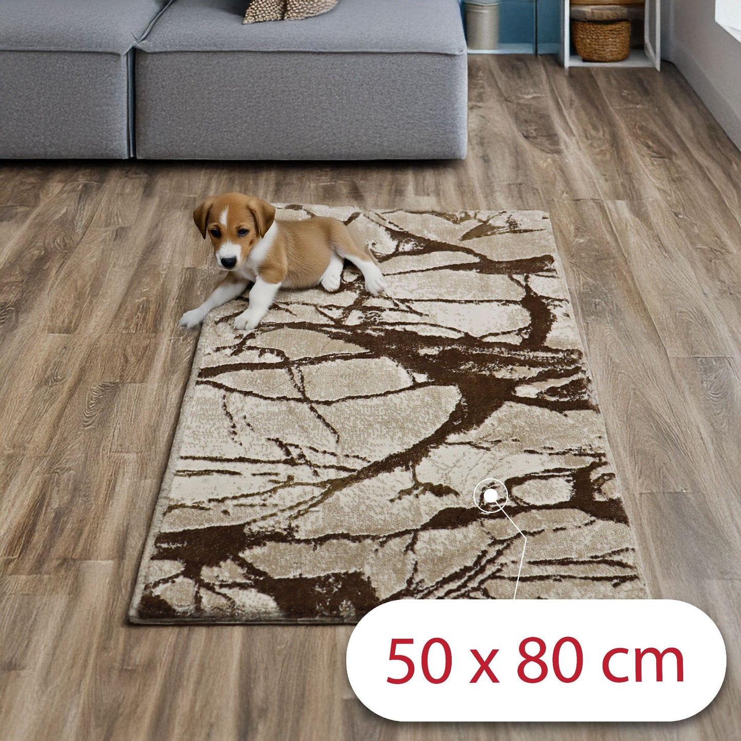 covor, premium, ieftin, reducere, living, copii, contemporan, modern, bucatarie, casa, familie, design