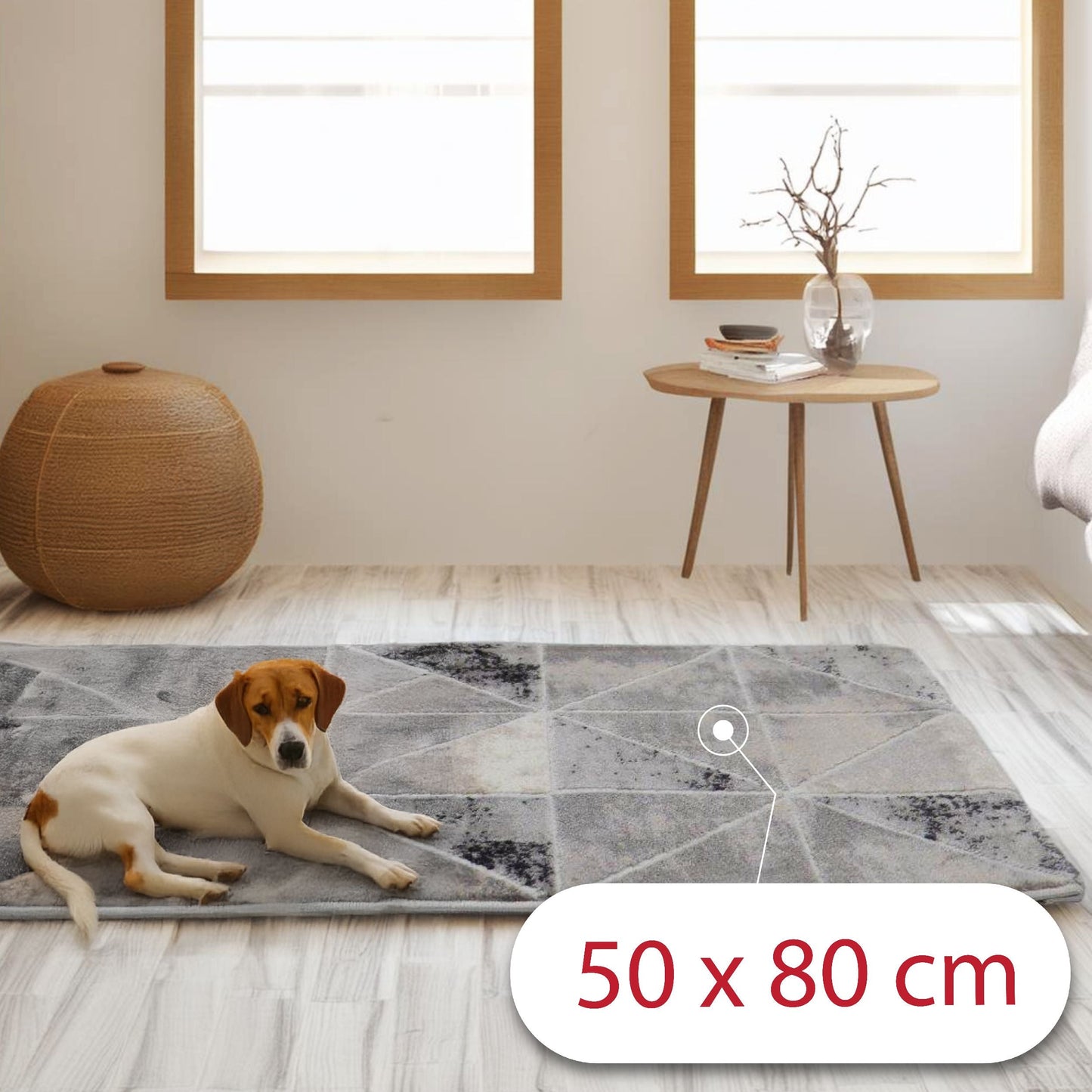 covor, premium, ieftin, reducere, living, copii, contemporan, modern, bucatarie, casa, familie, design