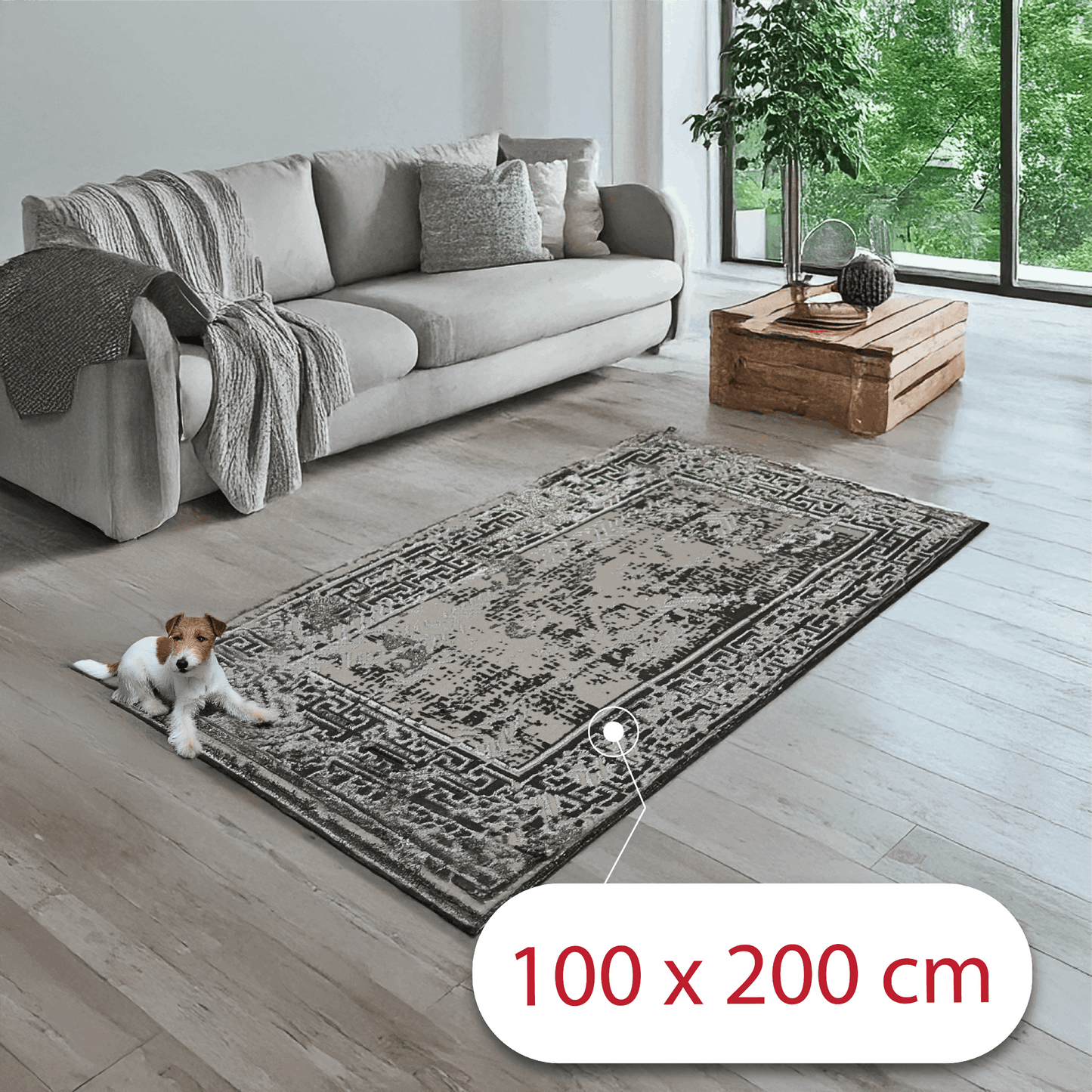 covor, premium, ieftin, reducere, living, copii, contemporan, modern, bucatarie, casa, familie, design