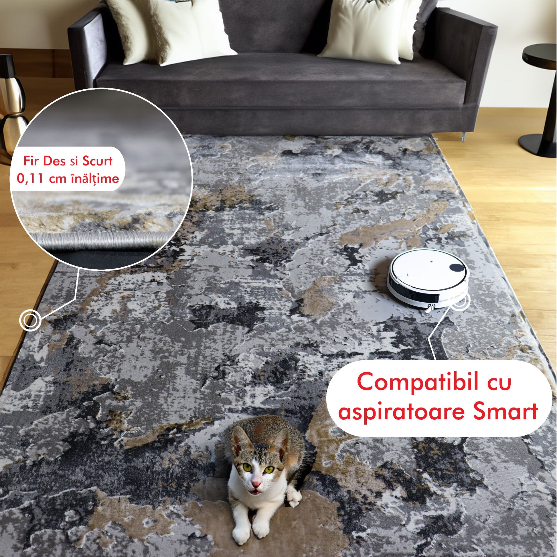 covor, premium, ieftin, reducere, living, copii, contemporan, modern, bucatarie, casa, familie, design