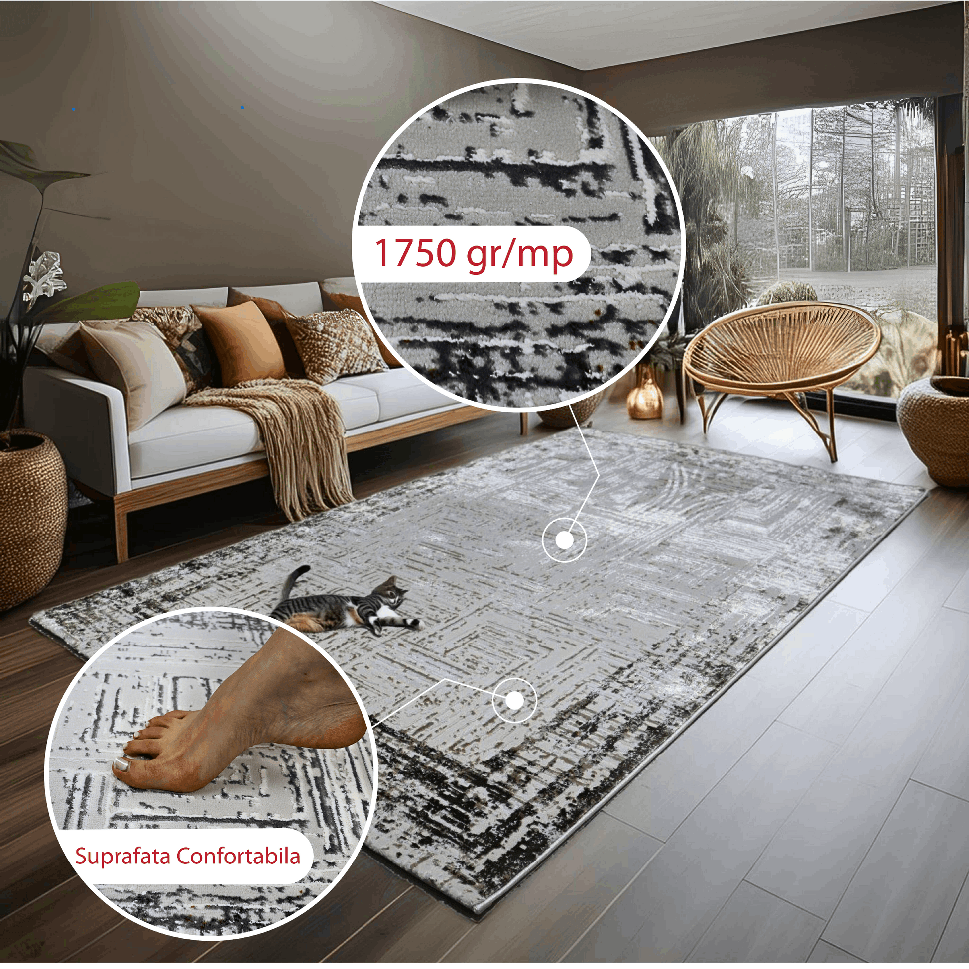 covor, premium, ieftin, reducere, living, copii, contemporan, modern, bucatarie, casa, familie, design