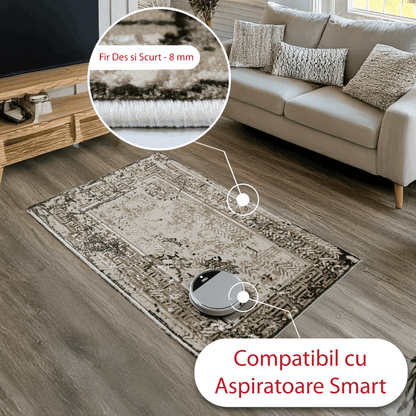 covor, premium, ieftin, reducere, living, copii, contemporan, modern, bucatarie, casa, familie, design