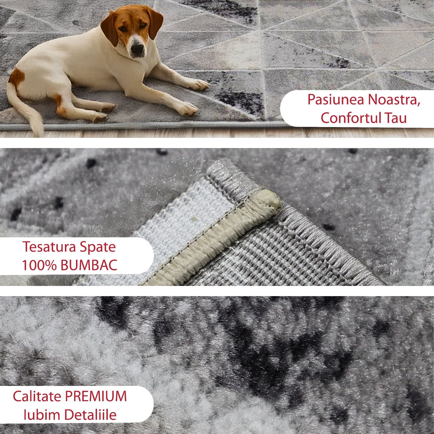 covor, premium, ieftin, reducere, living, copii, contemporan, modern, bucatarie, casa, familie, design