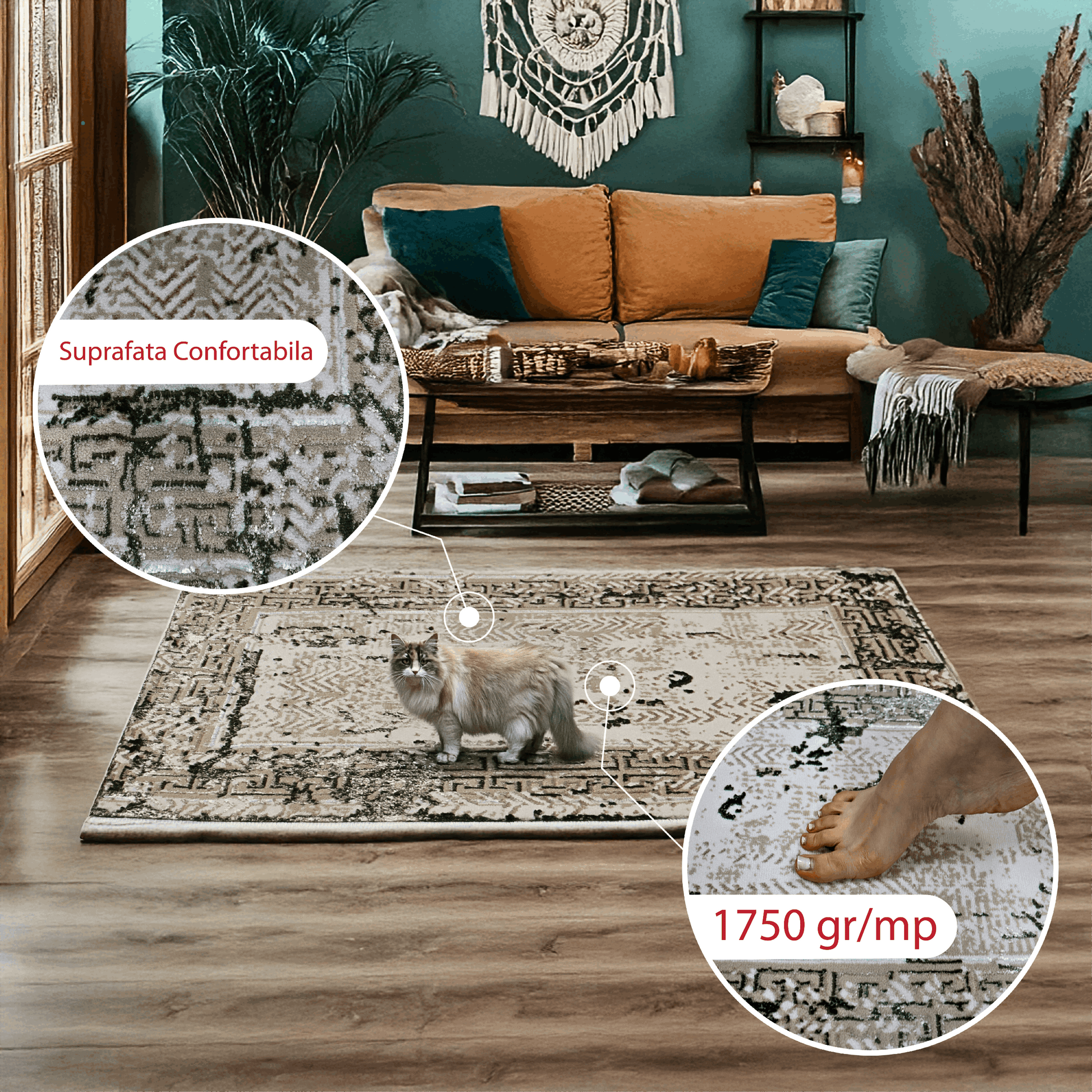 covor, premium, ieftin, reducere, living, copii, contemporan, modern, bucatarie, casa, familie, design