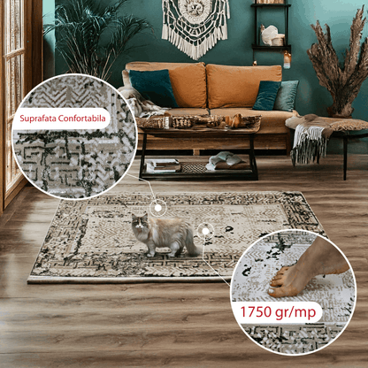 covor, premium, ieftin, reducere, living, copii, contemporan, modern, bucatarie, casa, familie, design