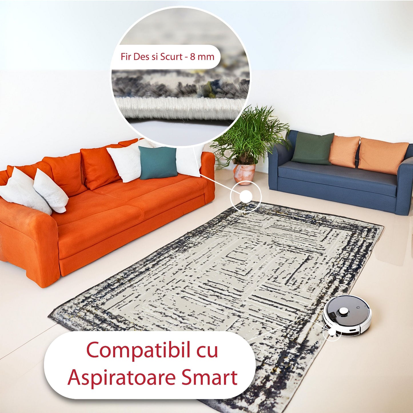 covor, premium, ieftin, reducere, living, copii, contemporan, modern, bucatarie, casa, familie, design