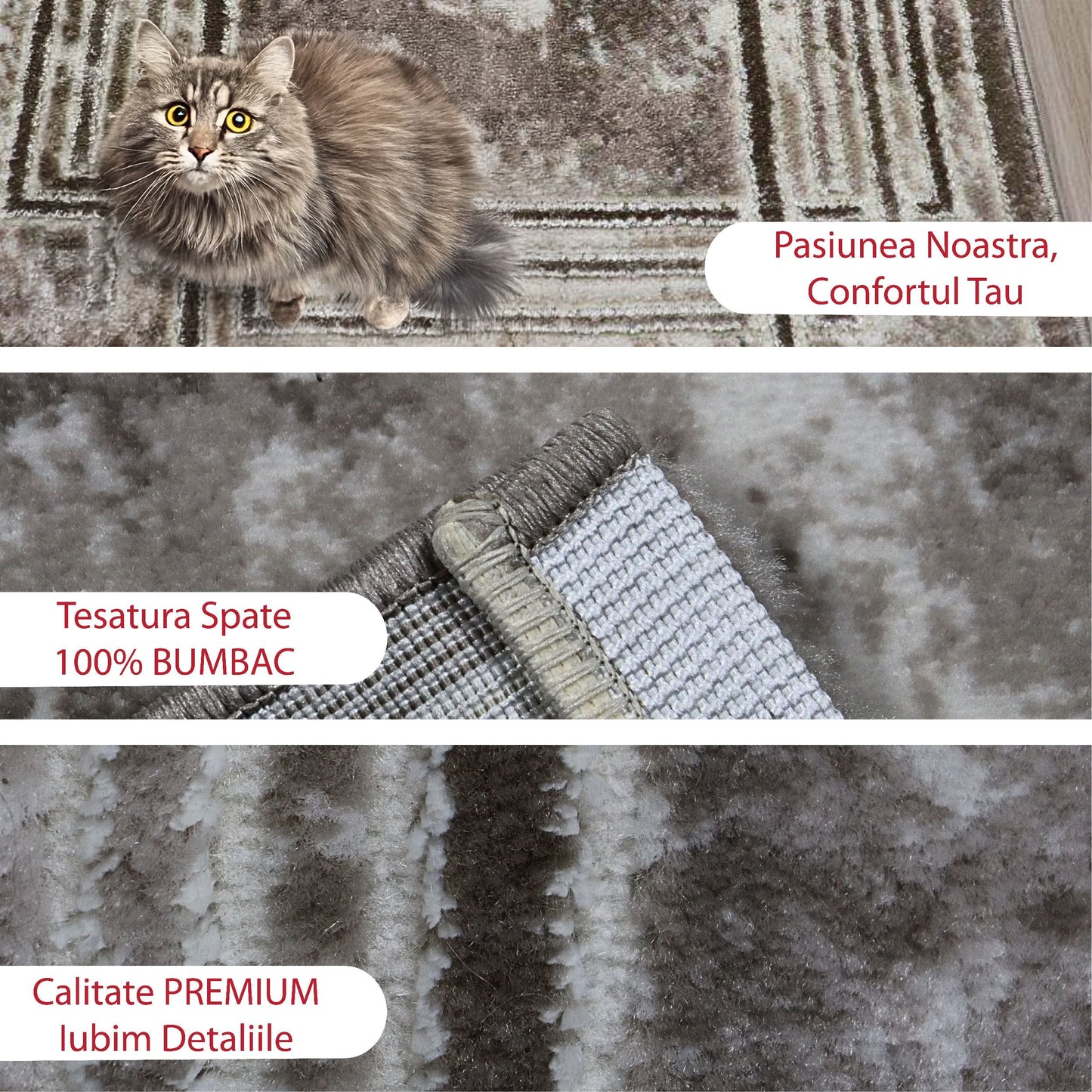 covor, premium, ieftin, reducere, living, copii, contemporan, modern, bucatarie, casa, familie, design