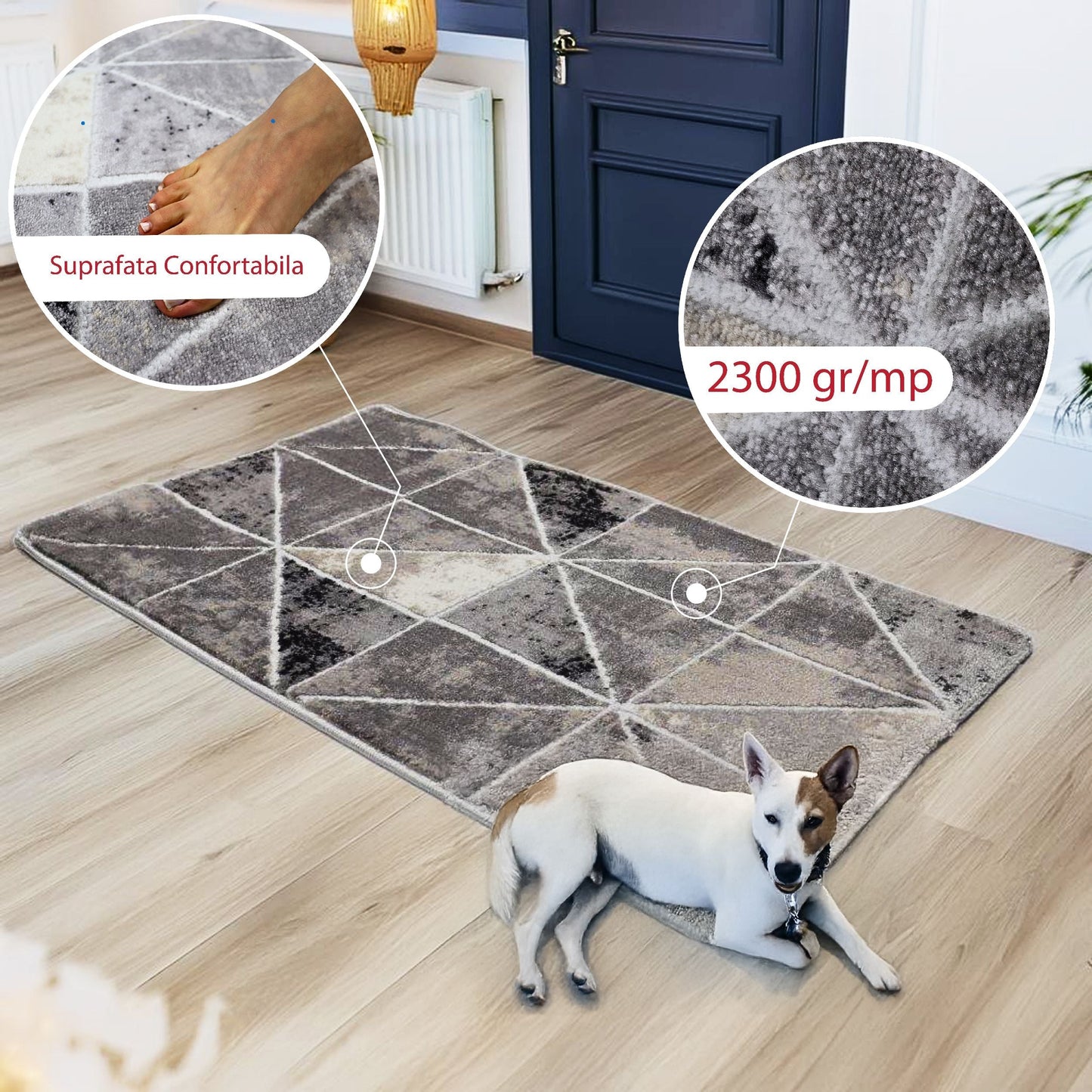 covor, premium, ieftin, reducere, living, copii, contemporan, modern, bucatarie, casa, familie, design