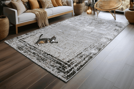 covor, premium, ieftin, reducere, living, copii, contemporan, modern, bucatarie, casa, familie, design