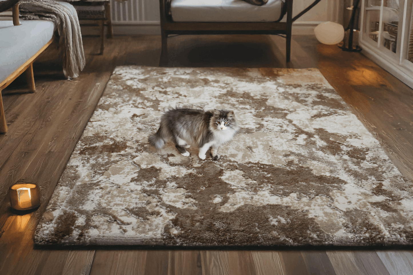 covor, premium, ieftin, reducere, living, copii, contemporan, modern, bucatarie, casa, familie, design