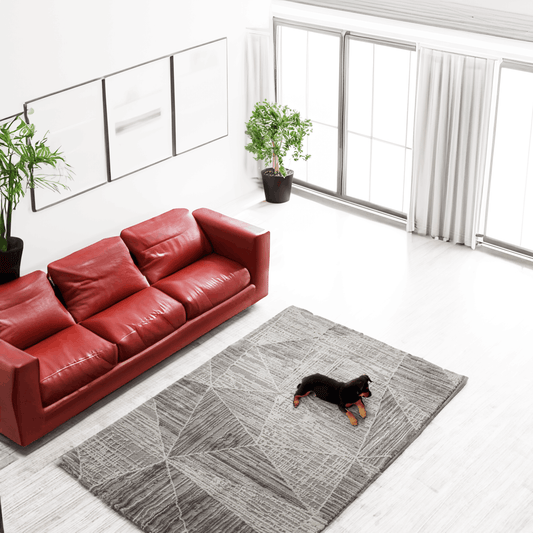 covor, premium, ieftin, reducere, living, copii, contemporan, modern, bucatarie, casa, familie, design