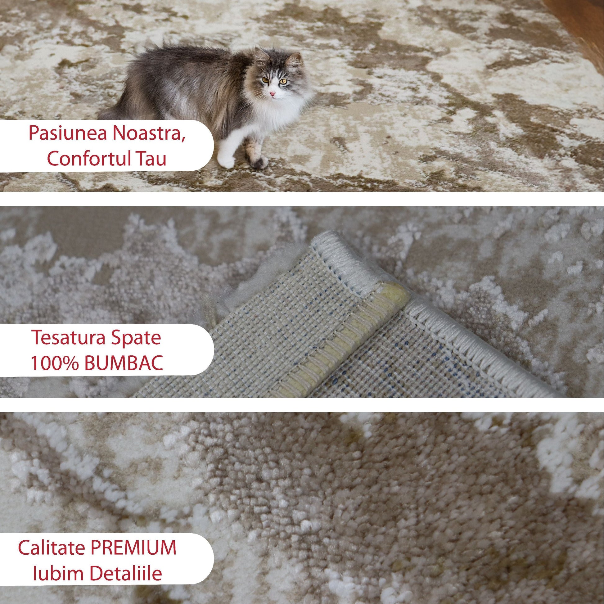 covor, premium, ieftin, reducere, living, copii, contemporan, modern, bucatarie, casa, familie, design