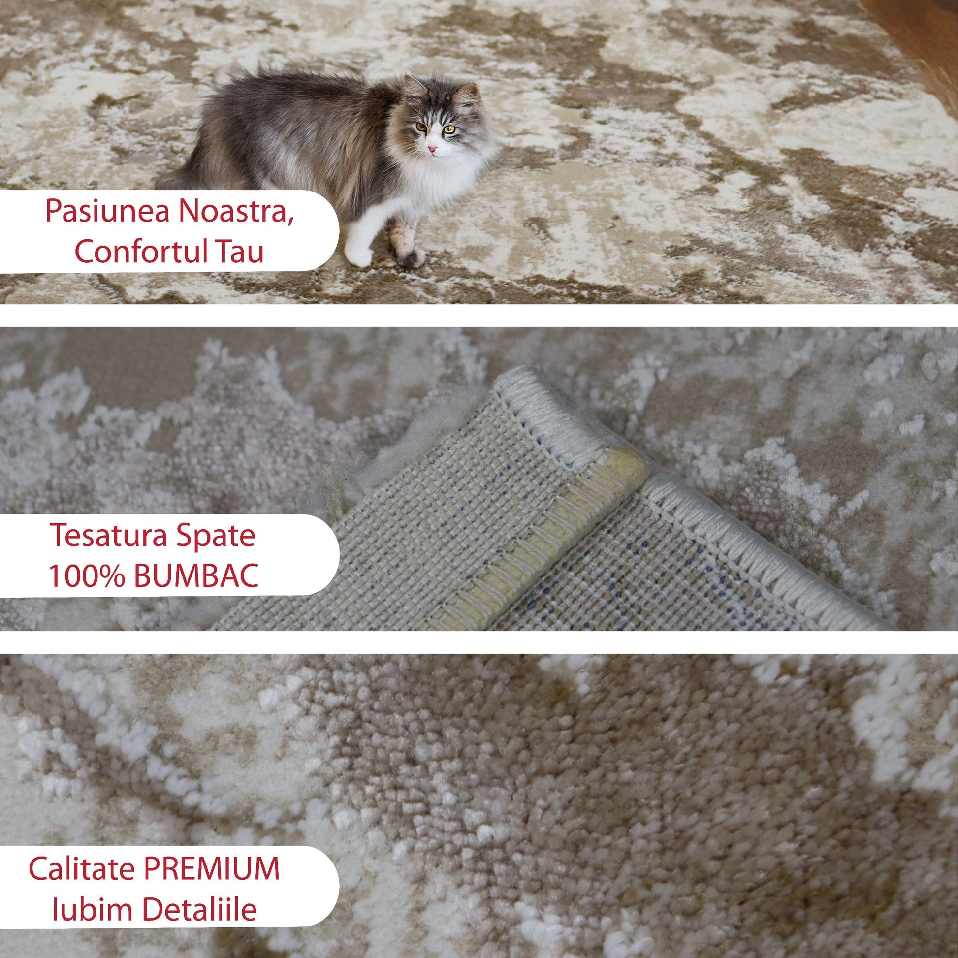 covor, premium, ieftin, reducere, living, copii, contemporan, modern, bucatarie, casa, familie, design