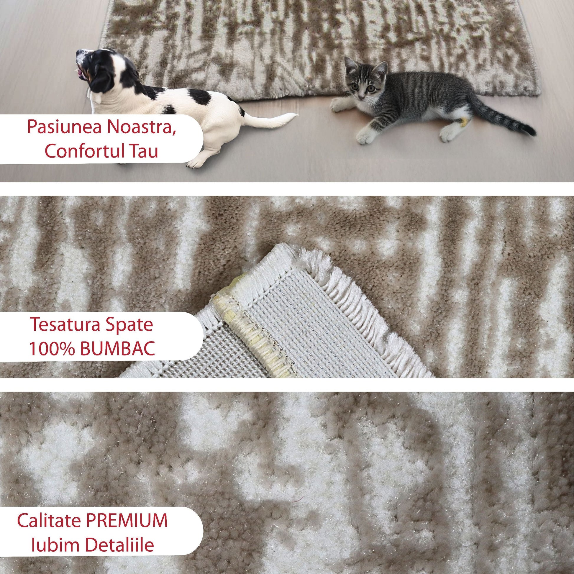 covor, premium, ieftin, reducere, living, copii, contemporan, modern, bucatarie, casa, familie, design