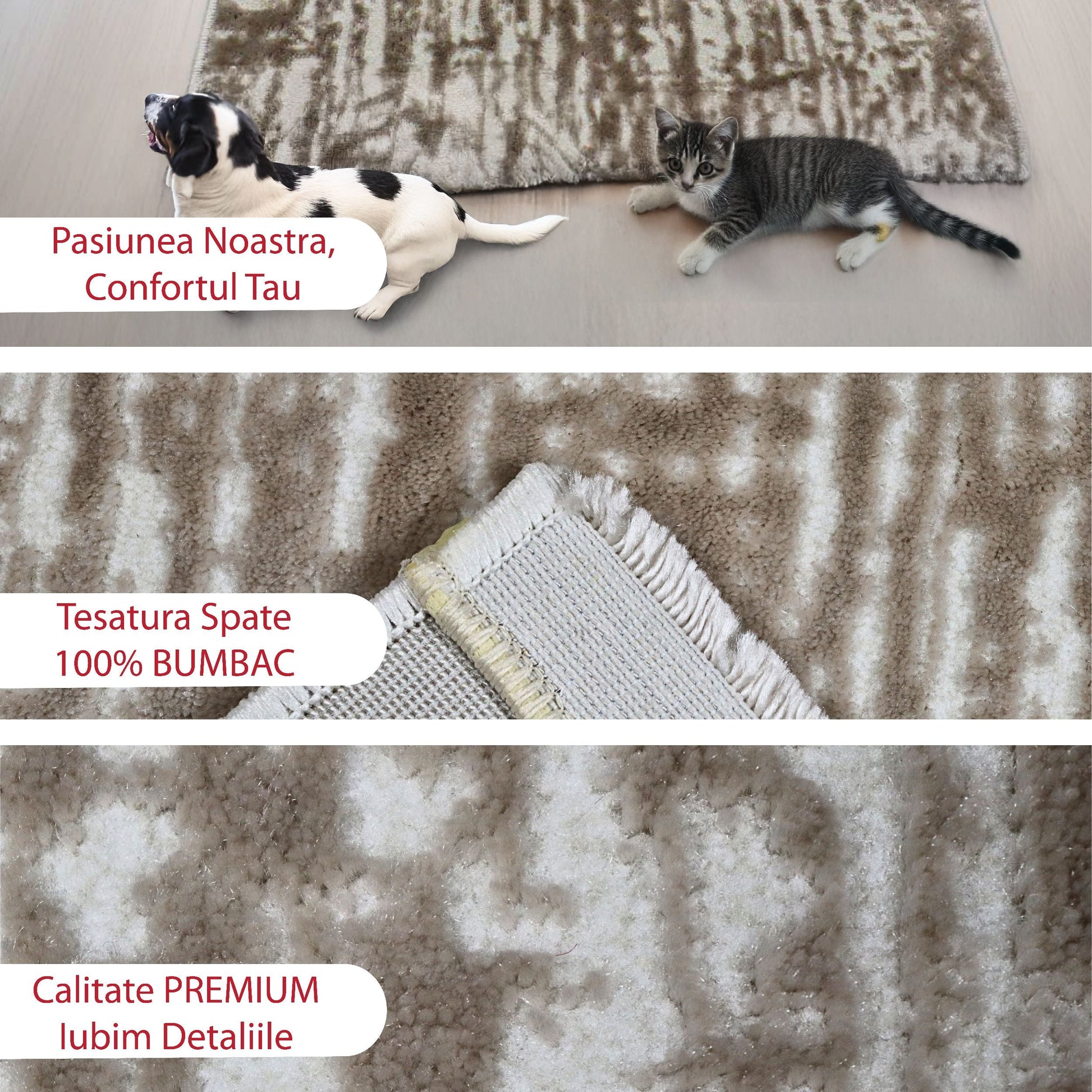 covor, premium, ieftin, reducere, living, copii, contemporan, modern, bucatarie, casa, familie, design