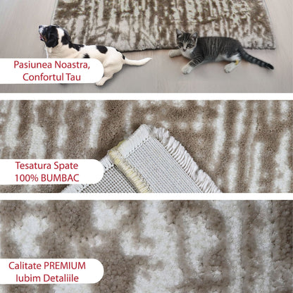 covor, premium, ieftin, reducere, living, copii, contemporan, modern, bucatarie, casa, familie, design