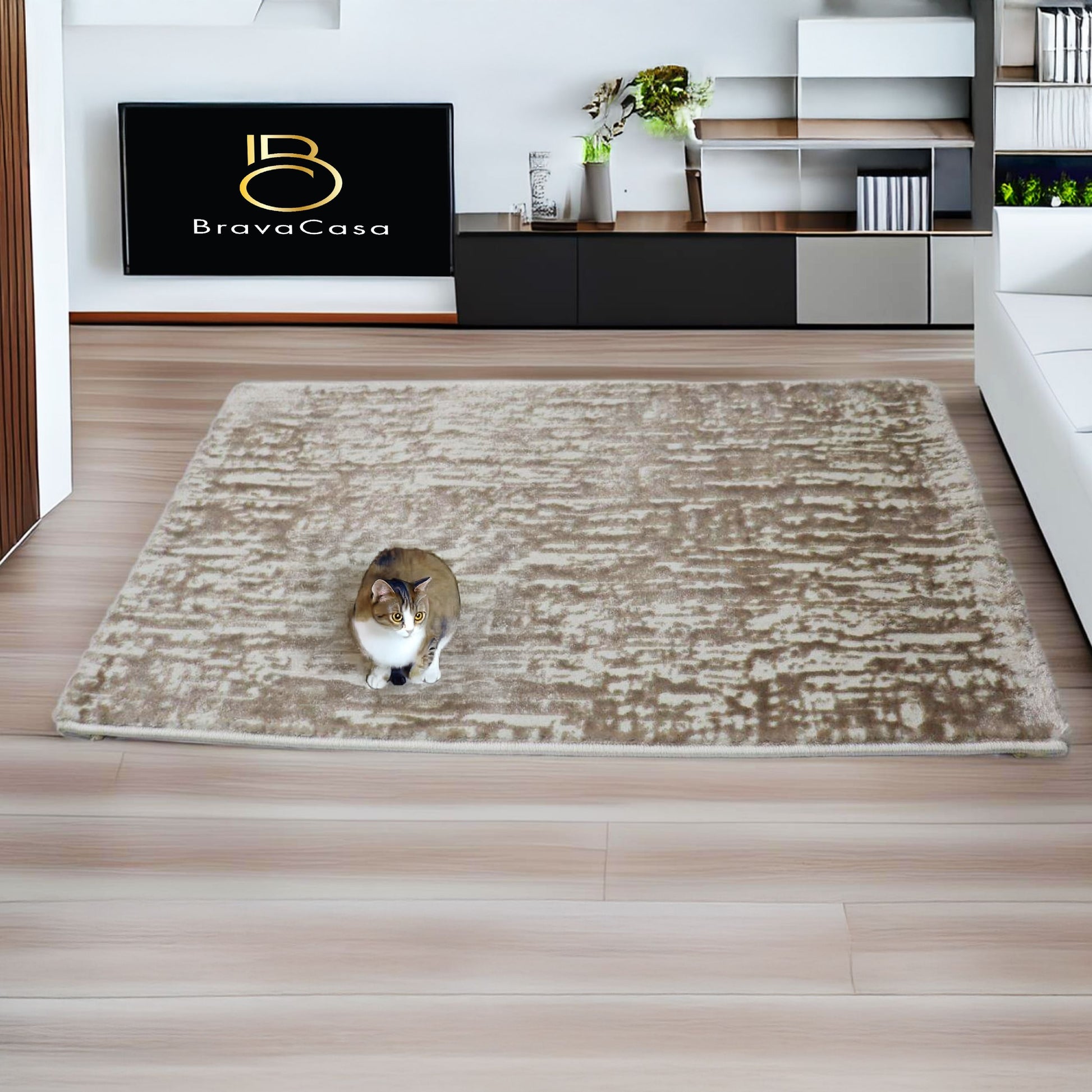 covor, premium, ieftin, reducere, living, copii, contemporan, modern, bucatarie, casa, familie, design