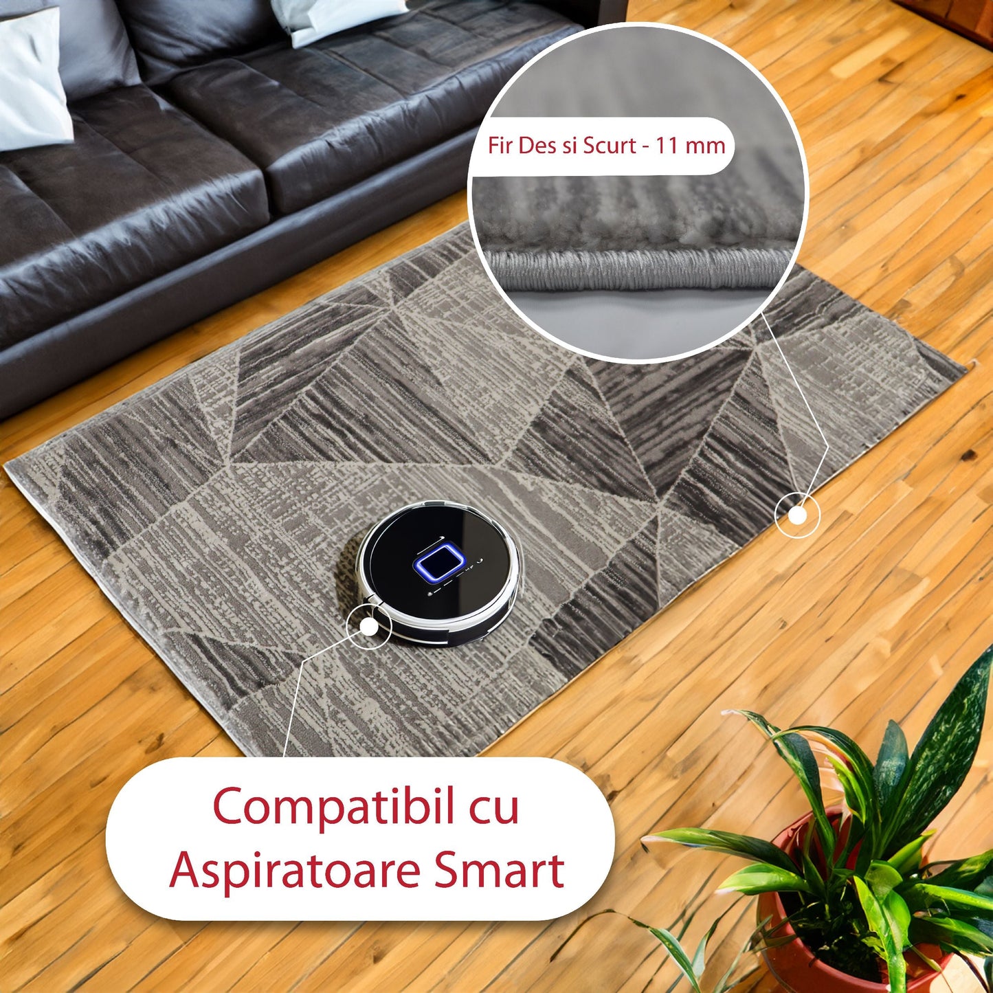 covor, premium, ieftin, reducere, living, copii, contemporan, modern, bucatarie, casa, familie, design