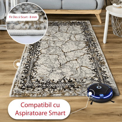 covor, premium, ieftin, reducere, living, copii, contemporan, modern, bucatarie, casa, familie, design