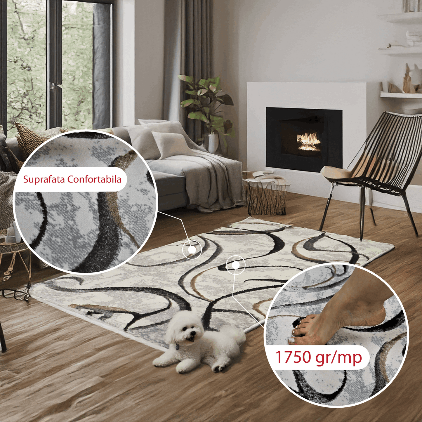 covor, premium, ieftin, reducere, living, copii, contemporan, modern, bucatarie, casa, familie, design