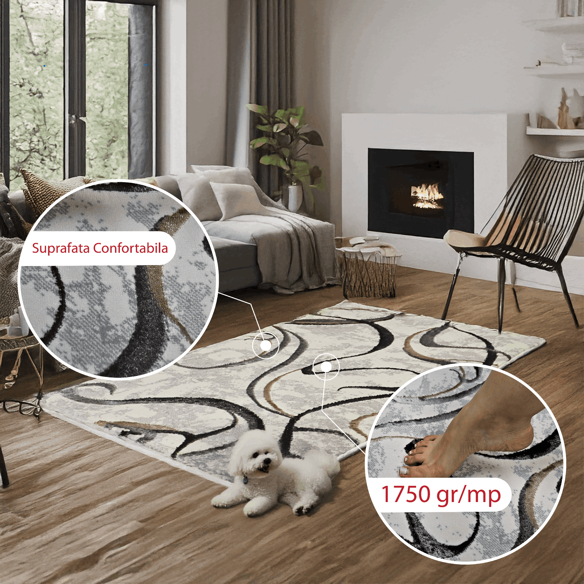 covor, premium, ieftin, reducere, living, copii, contemporan, modern, bucatarie, casa, familie, design