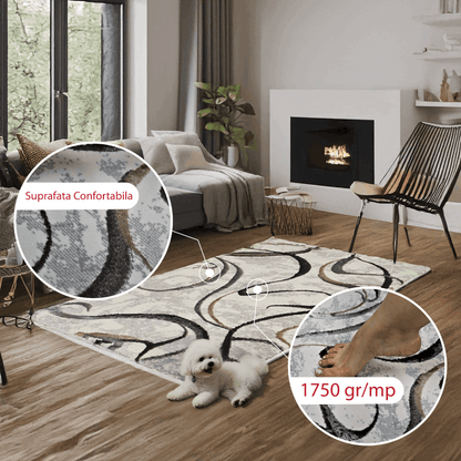 covor, premium, ieftin, reducere, living, copii, contemporan, modern, bucatarie, casa, familie, design