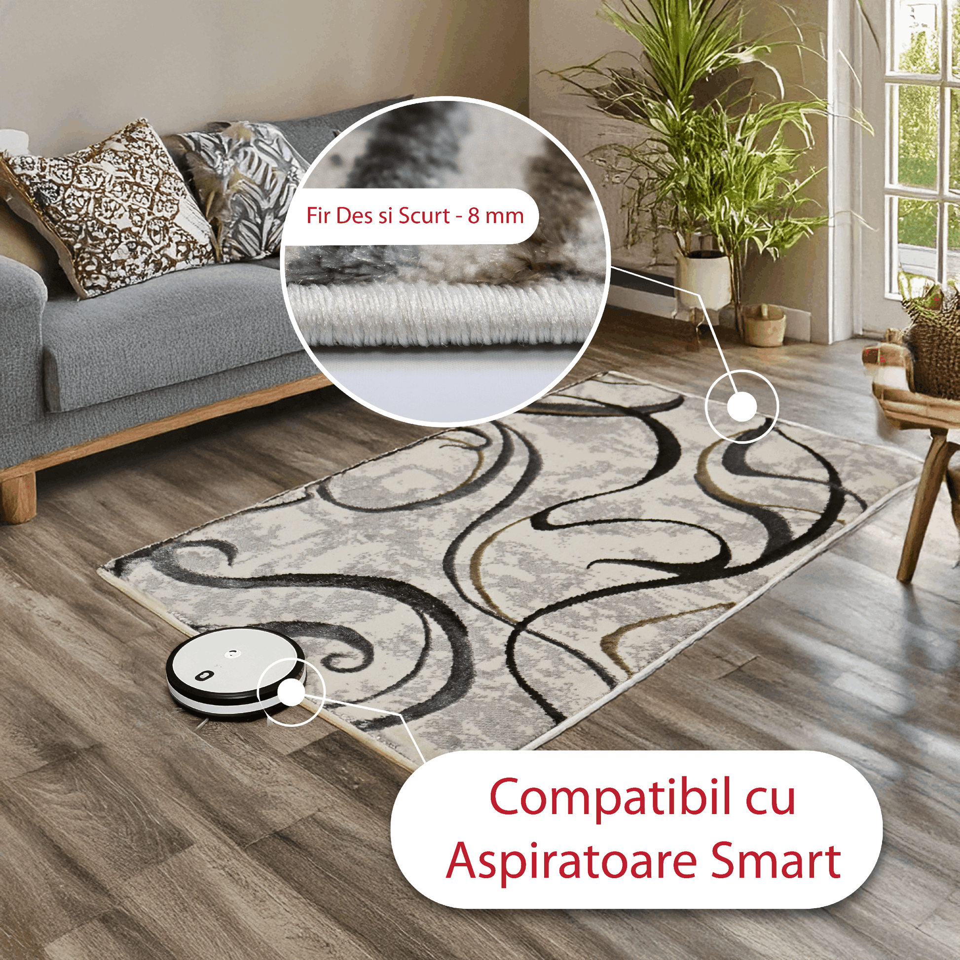 covor, premium, ieftin, reducere, living, copii, contemporan, modern, bucatarie, casa, familie, design