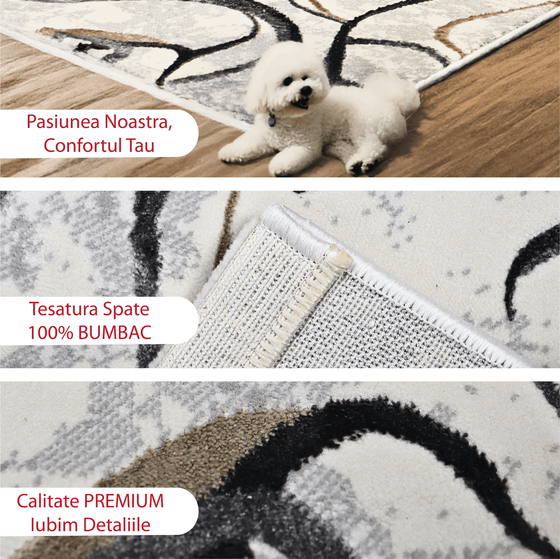 covor, premium, ieftin, reducere, living, copii, contemporan, modern, bucatarie, casa, familie, design