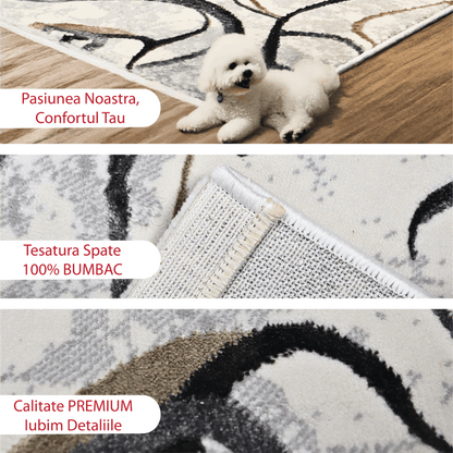 covor, premium, ieftin, reducere, living, copii, contemporan, modern, bucatarie, casa, familie, design