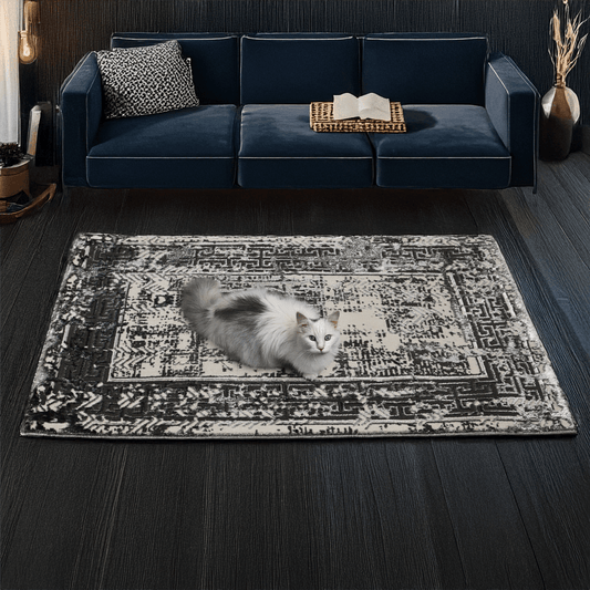 covor, premium, ieftin, reducere, living, copii, contemporan, modern, bucatarie, casa, familie, design