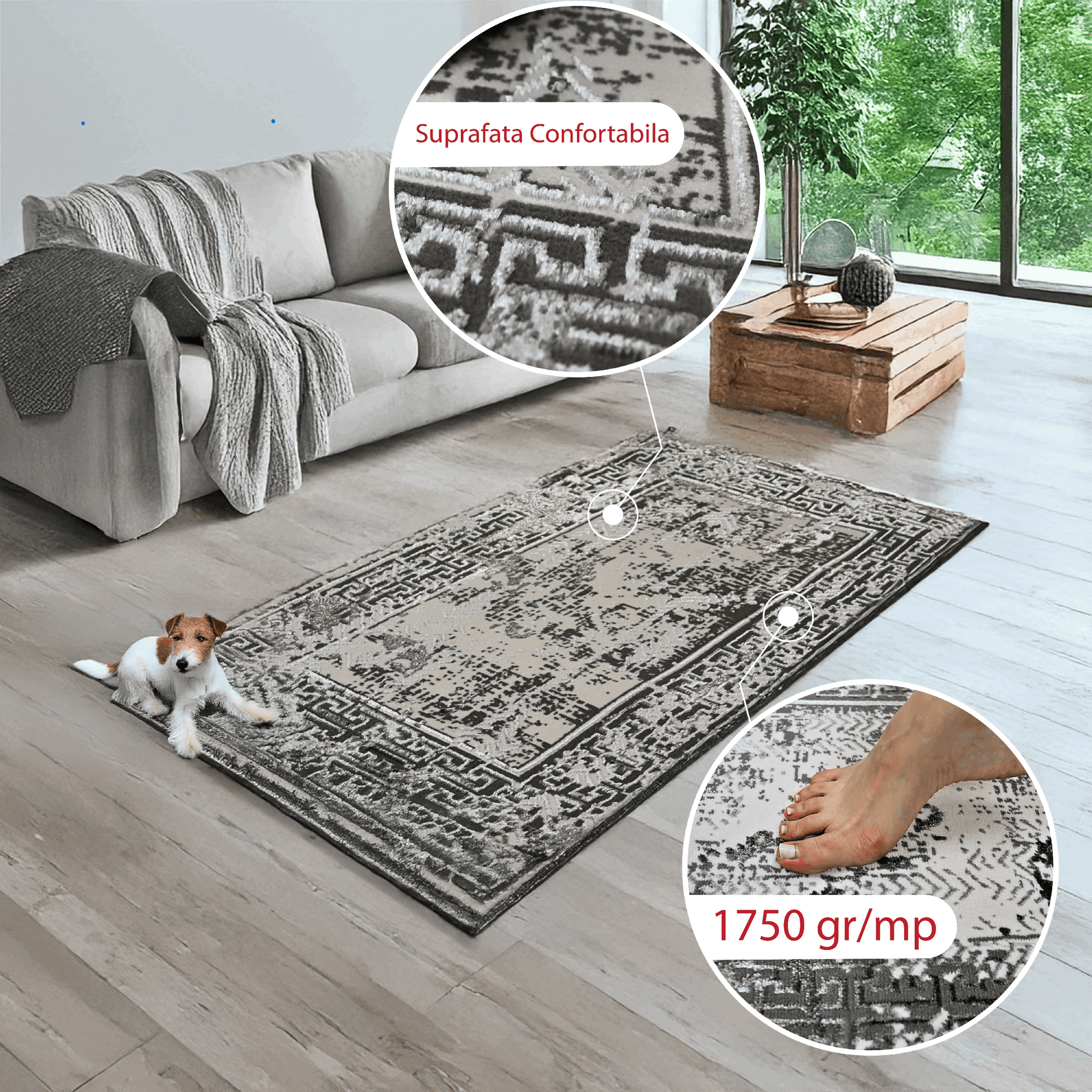 covor, premium, ieftin, reducere, living, copii, contemporan, modern, bucatarie, casa, familie, design