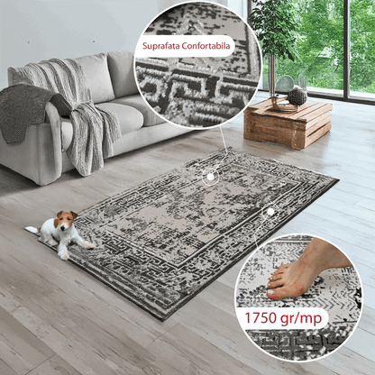 covor, premium, ieftin, reducere, living, copii, contemporan, modern, bucatarie, casa, familie, design