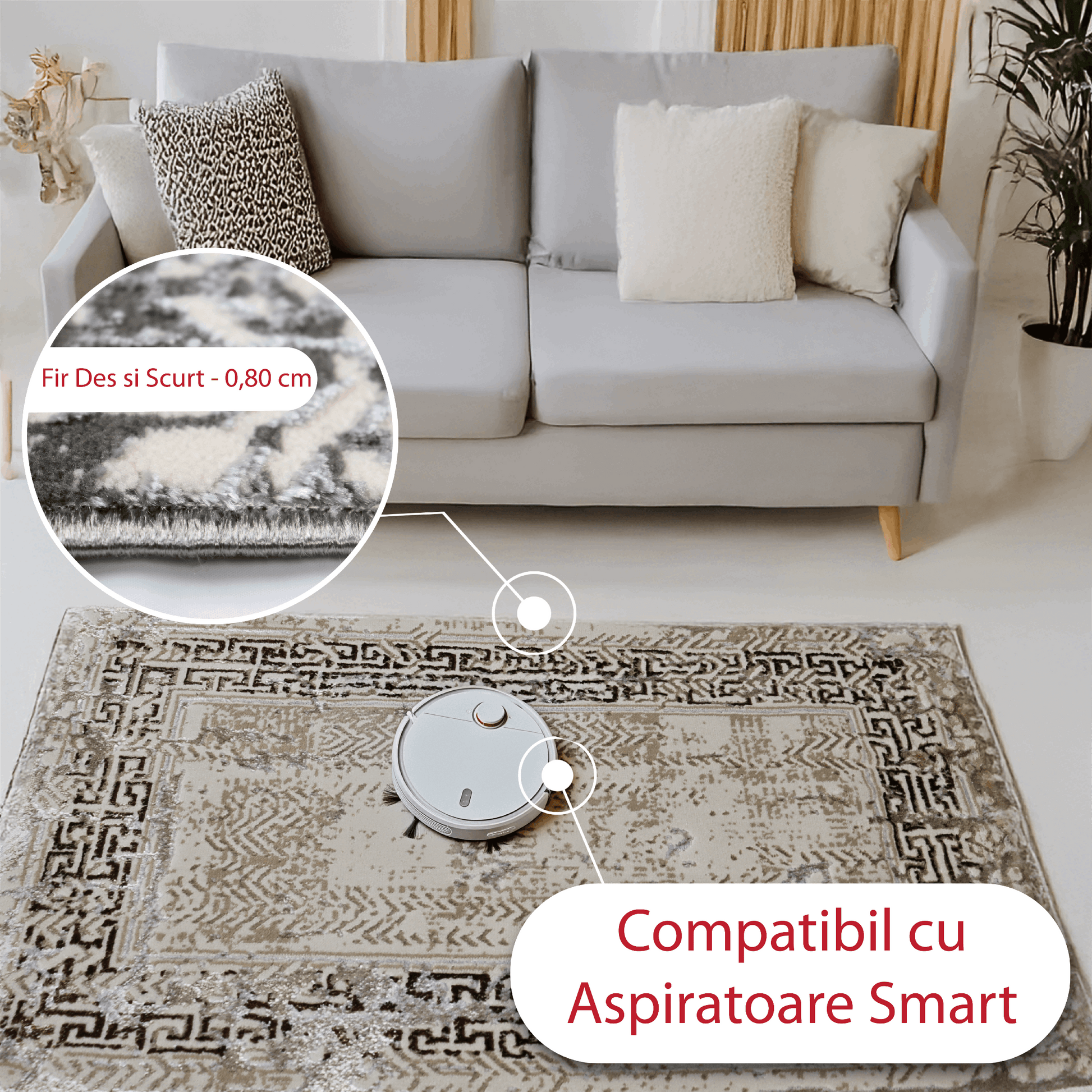 covor, premium, ieftin, reducere, living, copii, contemporan, modern, bucatarie, casa, familie, design