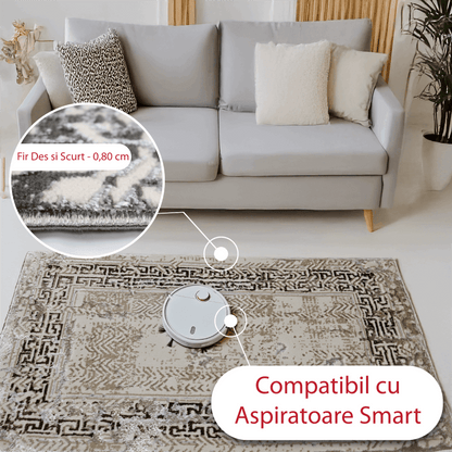 covor, premium, ieftin, reducere, living, copii, contemporan, modern, bucatarie, casa, familie, design