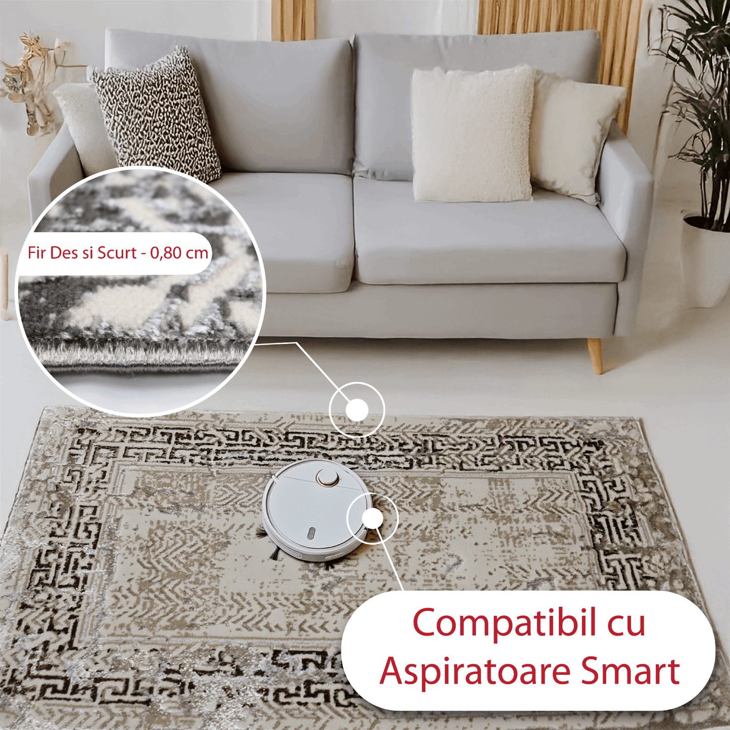 covor, premium, ieftin, reducere, living, copii, contemporan, modern, bucatarie, casa, familie, design