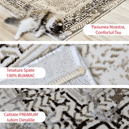 covor, premium, ieftin, reducere, living, copii, contemporan, modern, bucatarie, casa, familie, design