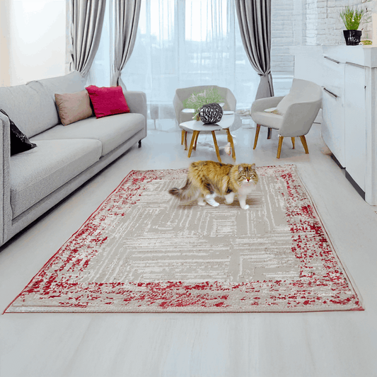covor, premium, ieftin, reducere, living, copii, contemporan, modern, bucatarie, casa, familie, design