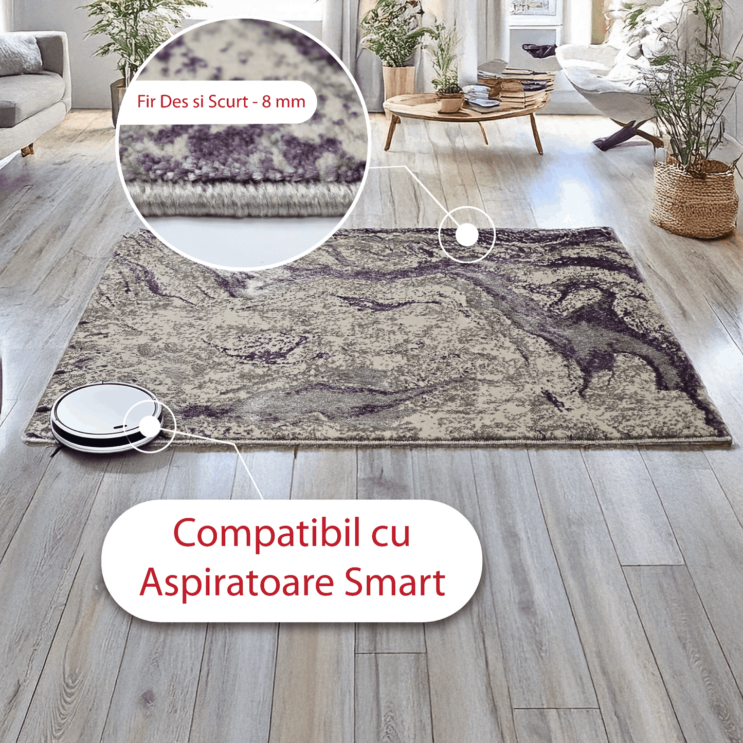 covor, premium, ieftin, reducere, living, copii, contemporan, modern, bucatarie, casa, familie, design