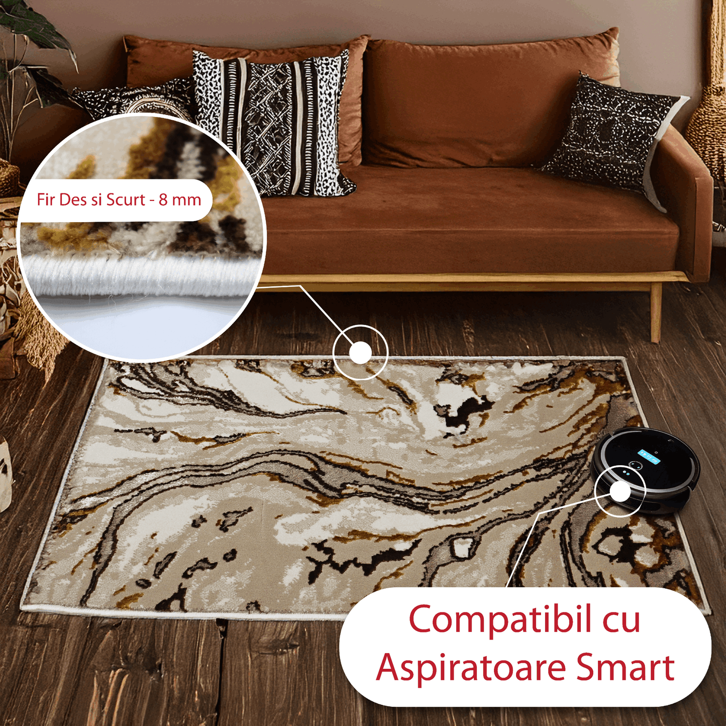 covor, premium, ieftin, reducere, living, copii, contemporan, modern, bucatarie, casa, familie, design