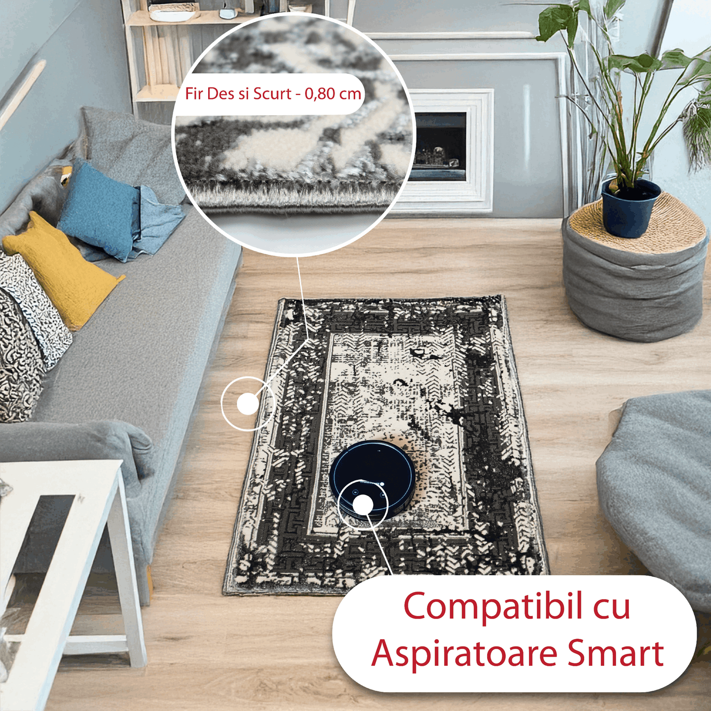 covor, premium, ieftin, reducere, living, copii, contemporan, modern, bucatarie, casa, familie, design