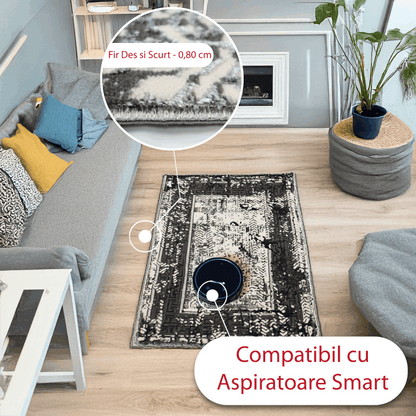 covor, premium, ieftin, reducere, living, copii, contemporan, modern, bucatarie, casa, familie, design